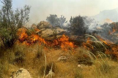 آخرین وضعیت آتش‌سوزی در پلدختر
