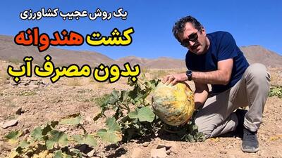 یک روش عجیب کشاورزی بدون آبیاری! / کاشت هندوانه بدون مصرف آب !