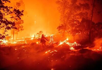 آتش‌سوزی در جنگل‌های پل‌دختر/موانع مهار حریق+فیلم