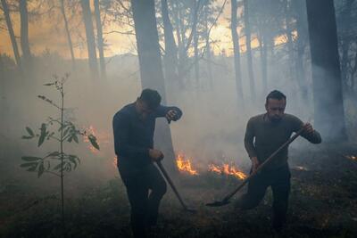 ببینید/ پایش هوایی آتش سوزی جنگل‌های پلدختر