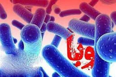 گزارش مقامات رسمی؛  شیوع وبا در نیجریه جان ۲۱ نفر را گرفت