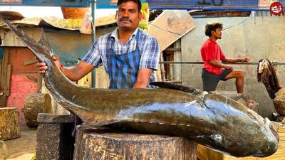 (ویدئو) مهارت دیدنی ماهی فروش هندی در برش زدن یک ماهی کوبیا 31 کیلویی