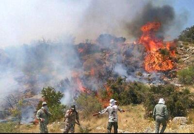 آتش سوزی جنگل‌های لرستان عمدی است؟ | نیروهای اطلاعاتی و انتظامی به دنبال عاملان آتش سوزی رویشگاه زاگرسی پلدختر | مجازات سنگین در انتظار عاملان حریق