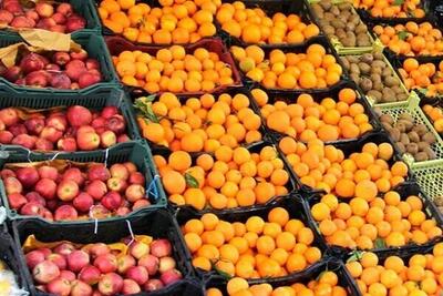 عیدی میوه‌فروش به مردم | عکس