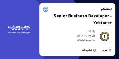 استخدام Senior Business Developer - Yektanet در یکتانت