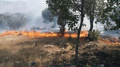 آتش‌سوزی جنگل‌های پلدختر هنوز مهار نشده است