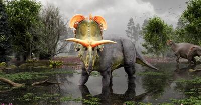 کشف گونه جدیدی از دایناسور شاخدار متعلق به ۷۸ میلیون سال قبل از میلاد + عکس