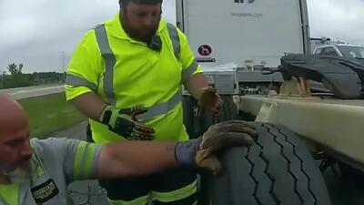 نجات بچه گربه از میان لاستیک های کامیون توسط سربازان