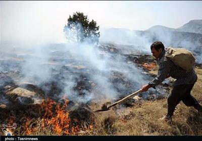 تداوم‌ آتش‌سوزی در جنگل‌های پلدختر‌ + فیلم - تسنیم
