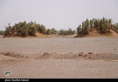 390 هزار هکتار کانون بحرانی فرسایش بادی در جنوب استان کرمان - تسنیم