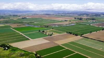 اجرای طرح حدنگاری در ۱۴۶ هزار هکتار از اراضی کشاورزی