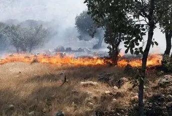 آتش در جنگل های پلدختر هنوز ادامه دار است!