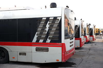 اتوبوس های چپ درخطوط شبانه آزادی