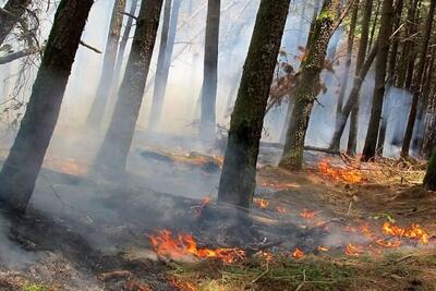 تداوم آتش‌سوزی در جنگل‌های پلدختر | اقتصاد24