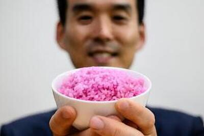 کشف جدید محققان کره‌جنوبی؛ «برنج صورتی» کار گوشت را می‌کند! +ویدئو