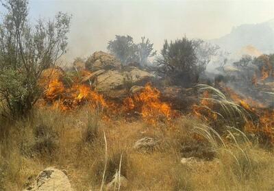 آخرین وضعیت آتش سوزی جنگل‌های پلدختر