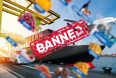 انتقاد از ممنوعیت واردات کالا
