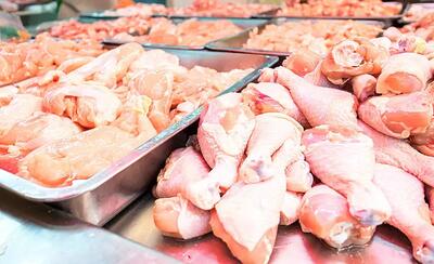 پیش بینی قیمت مرغ تا پایان تیر ماه