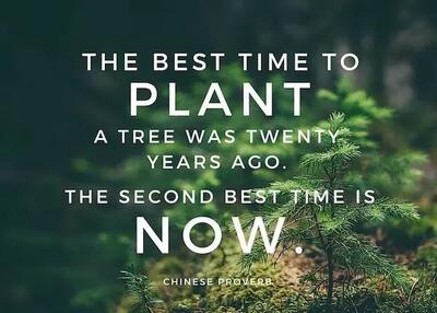 بهترین زمان برای کاشتن یک درخت بیست سال پیش بود، دومین زمانِ خوب برای کاشتنش همین حالاست