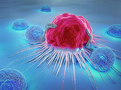 استفاده از مدل سه‌بعدی سرطان پستان در مطالعات ژن‌درمانی، شیمی‌درمانی و درمان ترکیبی