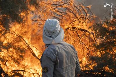 عکس/ تکرار آتش سوزی در پارک ملی کرخه
