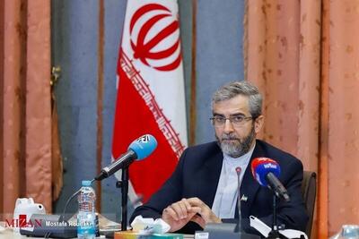 ایران مسیر حمایت از چند جانبه‌گرایی و مقابله با یکجانبه‌گرایی را ادامه می دهد