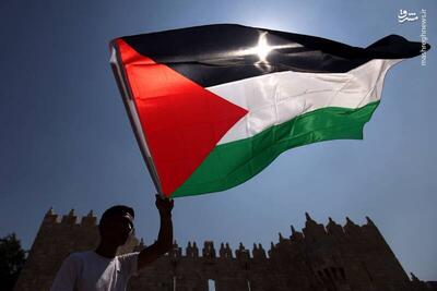 عکس/ برافراشتن پرچم فلسطین روی ساختمان دانشگاه تورنتو