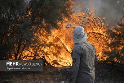 تکرار آتش سوزی در پارک ملی کرخه