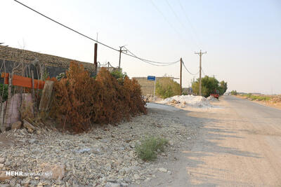 ۱۰ هزار قطعه زمین در روستاهای استان بوشهر به مردم واگذار می‌شود