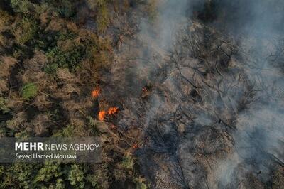 علت آتش‌سوزی جنگل‌های پلدختر مشخص شد