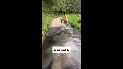 خلاقیت منحصر بفرد این مرد روستایی در کشیدن تصاویر سه بعدی /ویدیو وایرال شده از گمراه کردن گله گوسفدان برای گذر از خیابان نقاشی شده