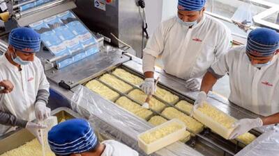 چالش مالیاتی تولیدکنندگان پنیر پیتزا در خراسان رضوی