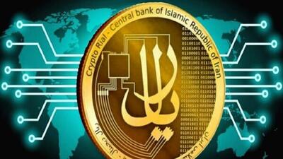 اقتصاد دیجیتال در استان بوشهر تقویت می‌شود