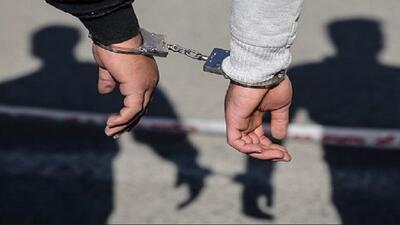 دستگیری سارقان محتویات داخل خودرو در طبس