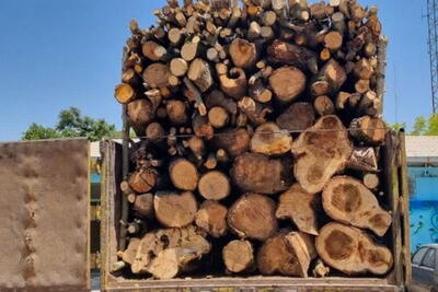 حدود چهار تن چوب غیرمجاز در خراسان‌ شمالی کشف شد | پایگاه خبری تحلیلی انصاف نیوز