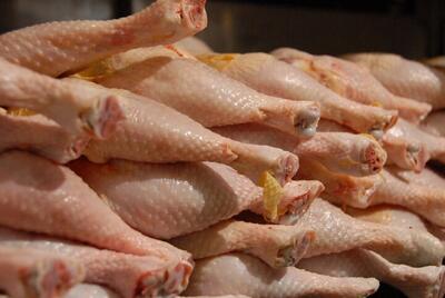 قیمت مرغ در بازار امروز ۴ تیر ۱۴۰۳