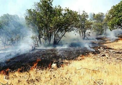 آتش‌سوزی جنگل‌های پلدختر مهار شد/ متهمان شناسایی شدند