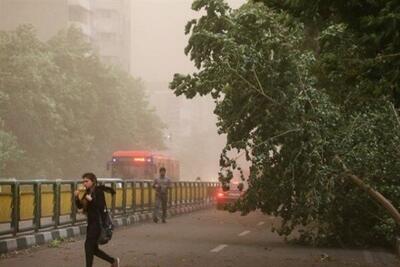 وقوع رگبار و رعد وبرق همچنین وزش باد شدید در تهران