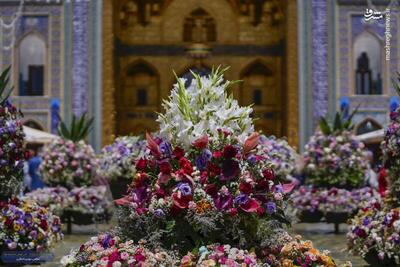 عکس/ گل‌آرایی حرم رضوی در آستانه عید غدیر