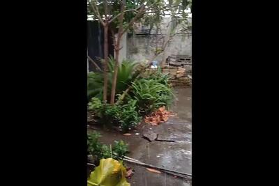 بارش زیبای باران در بندر انزلی