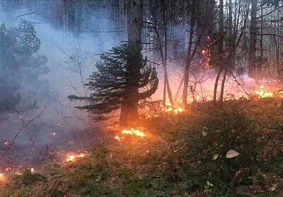 پایگاه مقابله با آتش‌سوزی جنگل‌ها در جنوب لرستان احداث شود - تسنیم