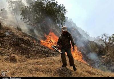 وقوع بیشترین آتش‌سوزی جنگل‌های ایران در لرستان - تسنیم