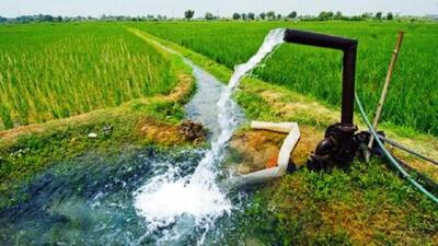 مصرف آب کشاورزی خوزستان باید به صورت علمی مدیریت شود