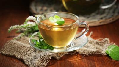 خواص چای پونه و درمان بیماری ها با دمنوش گیاهی