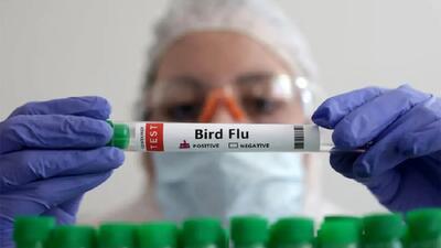 اولین انسانی که آنفلوآنزای مرغی گرفت که بود؟