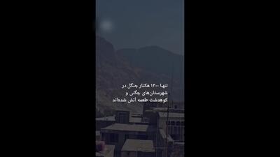 دود جنگل‌های آتش‌گرفته زاگرس به مناطق مسکونی رسید + فیلم