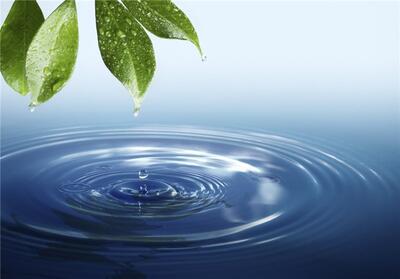 استفاده از آب شرب در مصارف کشاورزی موجب 4 برابر شدن مصرف شد - تسنیم