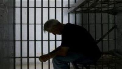 ۳۵ زندانی جرایم غیر عمد در استان بوشهر آزاد شدند