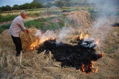کشاورزان از آتش زدن بقایای محصولات کشاورزی خودداری کنند