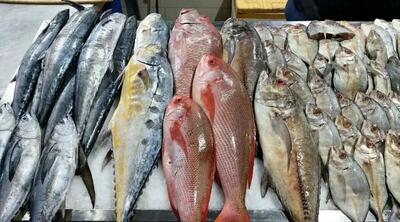 قیمت انواع ماهی و میگو در بازار ۶ تیر ۱۴۰۳ /جدول